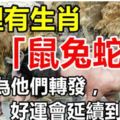 家裡有生肖「鼠兔蛇豬」的，今天為他們轉發，好運會延續到年底