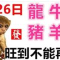 9月26日生肖運勢_龍、牛、蛇大吉