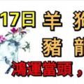 10月17日生肖運勢_羊、狗、虎大吉