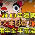 2019年運勢上漲，賺取大筆財富的5生肖，豬年全年富流油！