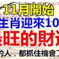 11月起，這5個生肖的人，迎來10年內最旺的財運，你抓住了嗎？