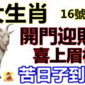 3大生肖16號以後開門迎財運！喜上眉梢，苦日子終於到頭了