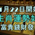 從11月22日開始，5大生肖運勢如虹，榮華富貴，錢財發不停！