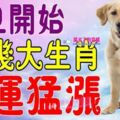 元旦開始，這幾大生肖財運猛漲【恭喜屬狗的人】