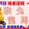 1月19日時來運轉一路發，猴兔虎龍馬豬，88秒內打開，好運跟著來『16888』