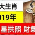 2019年吉星拱照，財氣旺的生肖