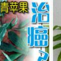 憂遁草+青蘋果治癌？，吃了憂遁草後，肝腫已消失，並沒有任何副作用