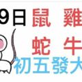 2月9日生肖運勢_鼠、雞、猴大吉