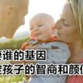 夫妻誰的基因決定孩子的智商和顏值？別糾結，看完或許會清楚 