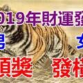 2019年財運旺，男中頭獎，女發橫財的六個生肖