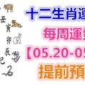 十二生肖運勢：每周運勢【05.20-05.26】提前預知！