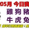 19號05月，今日我最旺！雞狗豬鼠牛虎兔龍！【59188】越早打開越靈驗！點個讚吧！