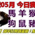 28號05月，今日我最旺！馬羊猴雞狗鼠豬牛！【28886】越早打開越靈驗！點個贊吧！