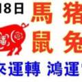 10月18日生肖運勢_馬、豬、狗大吉