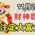 11月2日財神臨門，註定大富大貴的生肖