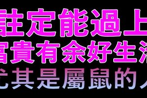 註定能過上富貴有餘好生活的四大生肖