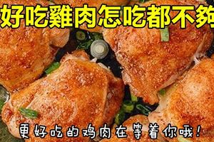 好吃的雞肉怎麼吃都不夠，更好吃的雞肉在等著你哦！