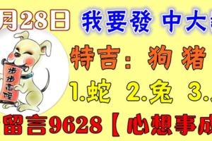 5月28日狗、豬、羊、蛇、兔、虎！中大獎！請留言9628【心想事成】