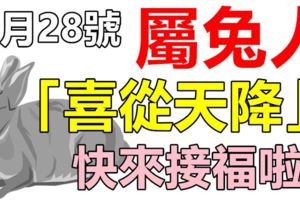 5月28號，屬兔人「喜從天降」，快來接福啦！