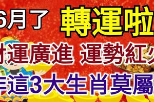 6月了，轉運啦，財運廣進，運勢紅火，非這3大生肖莫屬！