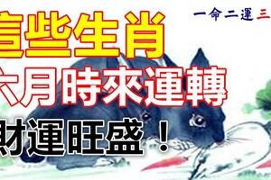 這些生肖六月時來運轉，財運旺盛！