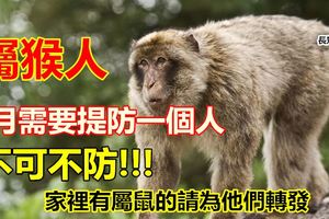 屬猴人：6月需要提防一個人，不可不防！別不信
