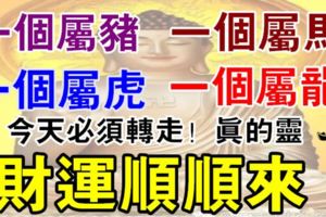 一個屬龍，一個屬虎，一個屬馬，一個屬豬今天必須轉走！財運順順來！真的靈！