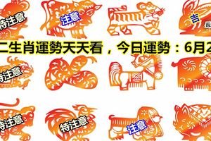 十二生肖運勢天天看，今日運勢：6月2日