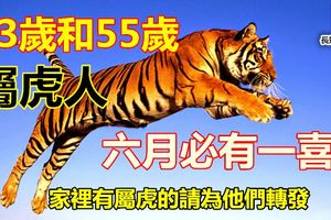 43歲和55歲的屬虎人火了！六月必有一喜！千萬別錯過！