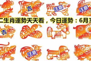十二生肖運勢天天看，今日運勢：6月3日