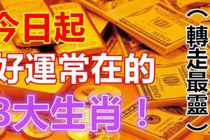 今日起，好運常在的3大生肖！