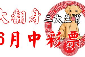 大翻身！6月至少能中一次彩票的幾大生肖！尤其是生肖「狗」的，果然逃不掉！