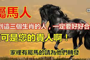 屬馬人遇到這三個生肖的人，一定要好好合作！他可是您的貴人啊！