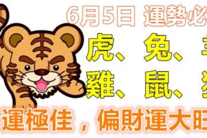 6月5日虎、兔、羊、雞、鼠、狗！財運極佳，偏財運大旺！
