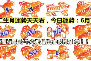 十二生肖運勢天天看，今日運勢：6月7日