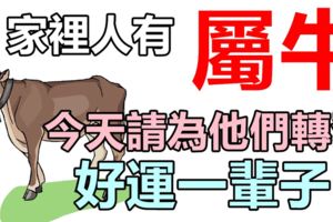 你家裡人有屬牛的嗎，請為他們轉發，今天開始*好運一輩子*！