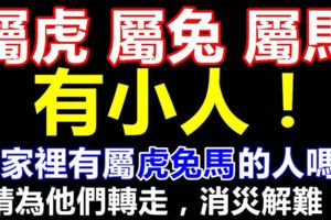 你家裡有屬虎兔馬的人嗎？請轉告他們，未來幾天有小人！