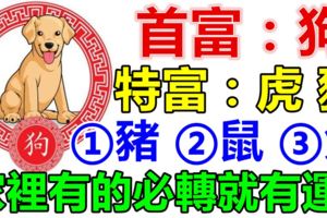 下半年：你家裡有生肖【狗虎豬鼠兔】嗎？家裡有的就有運！