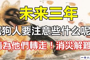 未來三年，屬狗人要注意些什麼呢？請為他們轉走！消災解難！