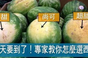 挑西瓜還在靠運氣？專家傳授「選瓜六訣」，粗糙表面最是好！兩類人不宜多吃！