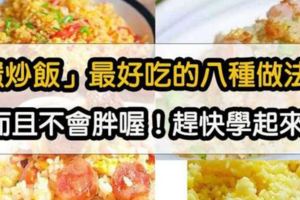 「蛋炒飯」最好吃的八種做法！！太實用~~