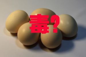 一天只能吃一個雞蛋？原來我們都被騙了很多年