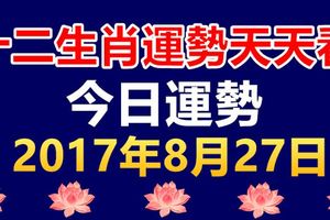 十二生肖運勢天天看，今日運勢：8月27日