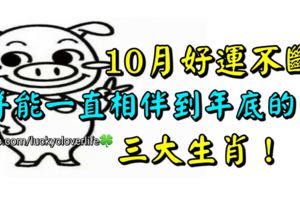 10月好運不斷，並能一直相伴到年底的三大生肖！