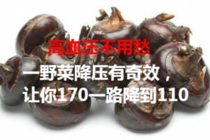 高血壓不用愁，農村一野菜降壓有奇效，讓你170一路降到110