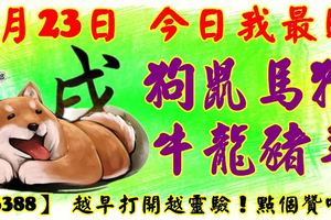 3月23日，今日我最旺！狗鼠馬猴牛龍豬羊！【33388】越早打開越靈驗！點個贊吧！