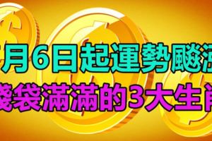 7月6日起運勢飈漲，錢袋滿滿的3大生肖