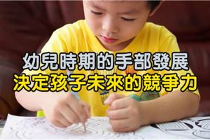 幼兒時期的手部發展，決定孩子未來的競爭力