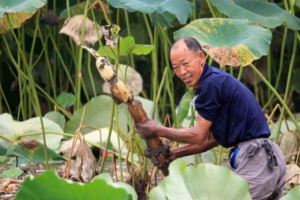 50歲以後經常視力模糊，出現老花眼，3個方法消除老花眼的不適