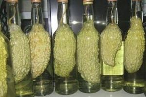 用整個苦瓜泡的酒有什麼功效？苦瓜是怎麼放進去的？